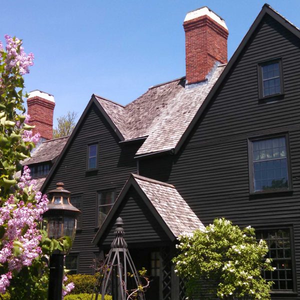 Lilacs in bloom near The House of the Seven Gables