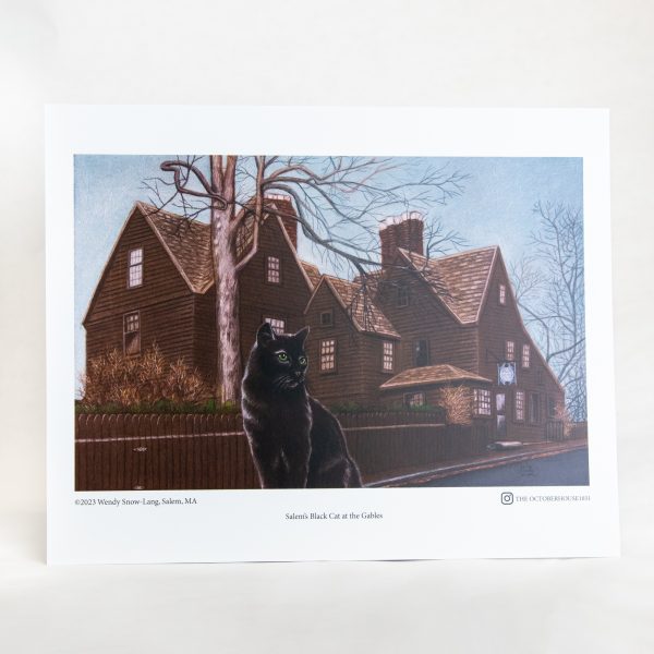 The front image of the Black Cat at the Gables Print. The print is of a black cat standing in front of the House of the Seven Gables.