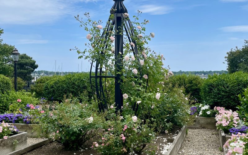 The House of the Seven Gables flower garden in full bloom.